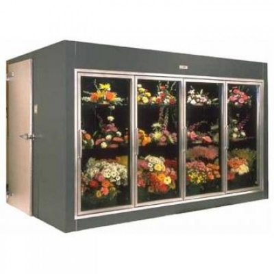 Vitrine vitrate Profesionale utilizari speciale  - Frigosztufi